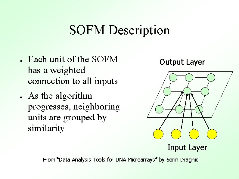 SOFM Description ● ● Each unit of the SOFM has a weighted connection to