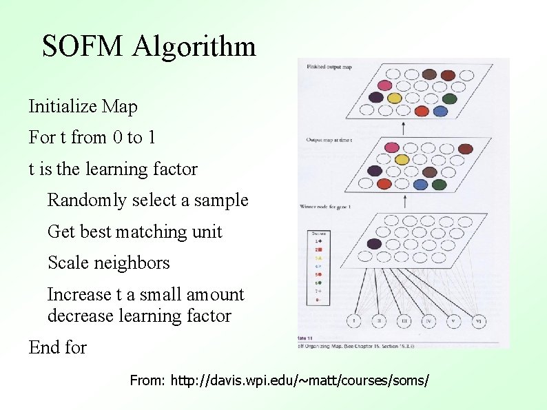 SOFM Algorithm Initialize Map For t from 0 to 1 t is the learning