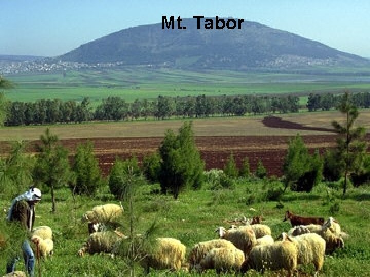 Mt. Tabor Mt. Tabor
