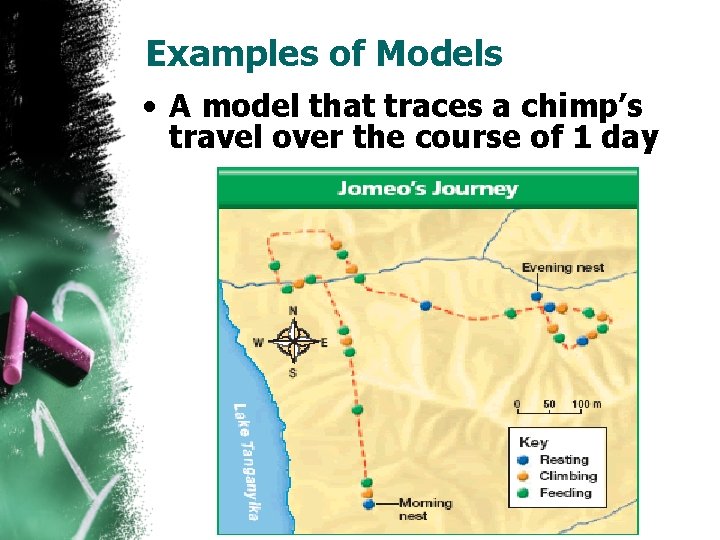 Examples of Models • A model that traces a chimp’s travel over the course