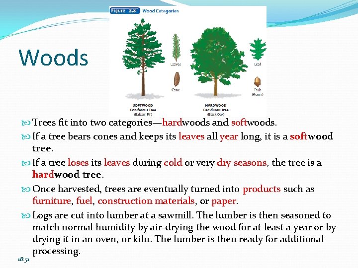 Woods Trees fit into two categories—hardwoods and softwoods. If a tree bears cones and