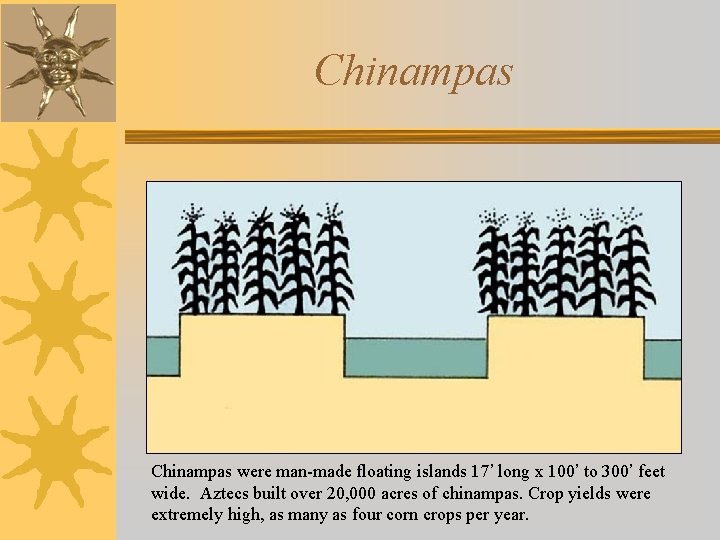 Chinampas were man-made floating islands 17’ long x 100’ to 300’ feet wide. Aztecs