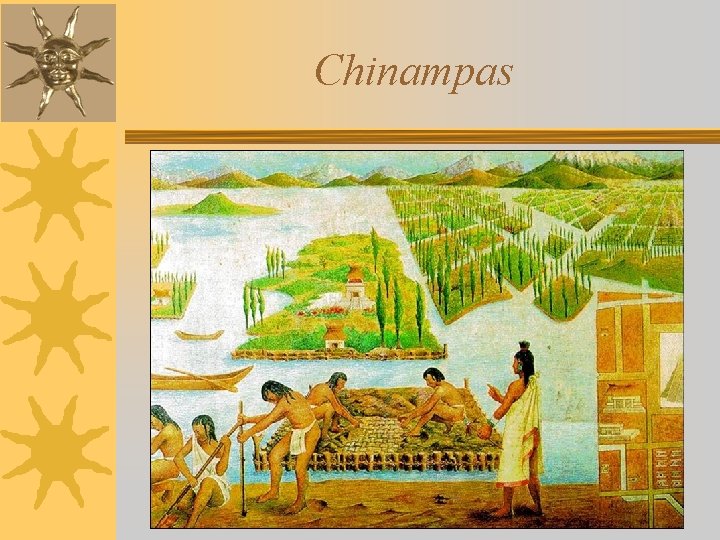 Chinampas 