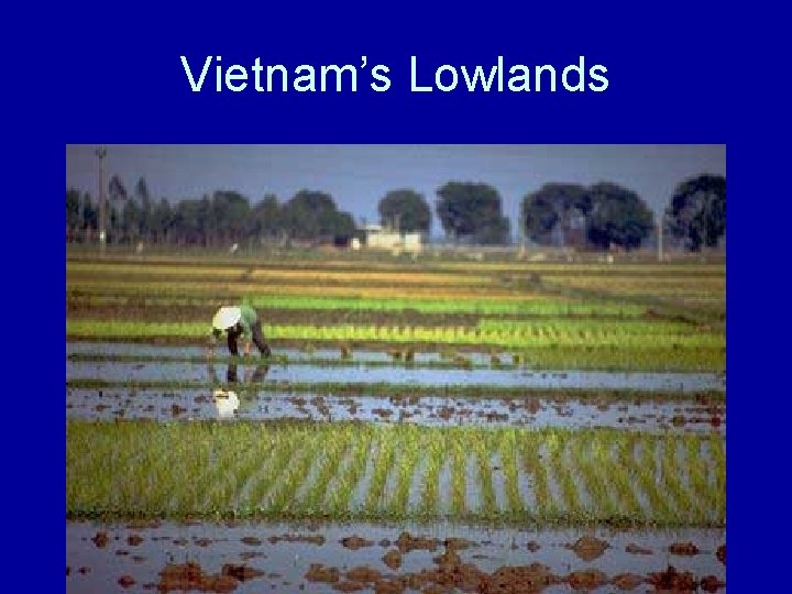 Vietnam’s Lowlands 