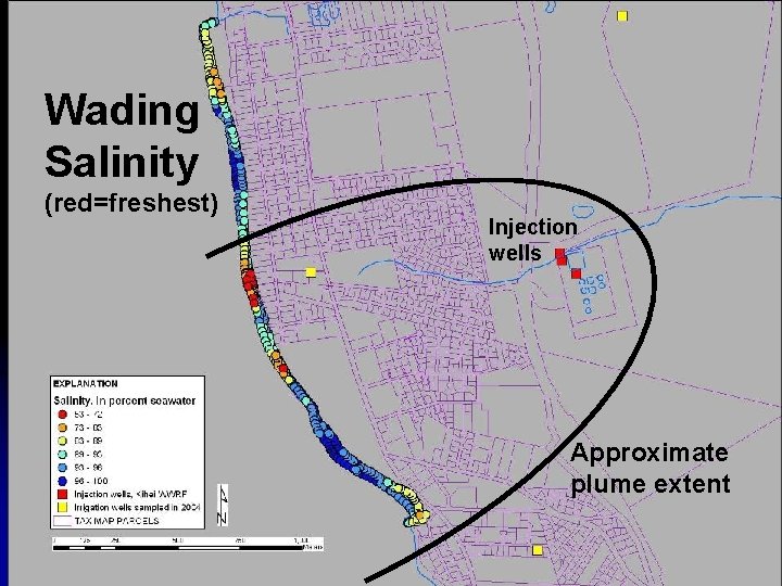 Wading Salinity (red=freshest) Injection wells Approximate plume extent 