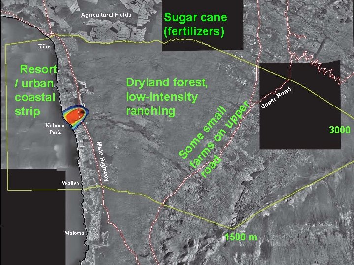 Sugar cane (fertilizers) Dryland forest, low-intensity ranching So fa m ro rm e s