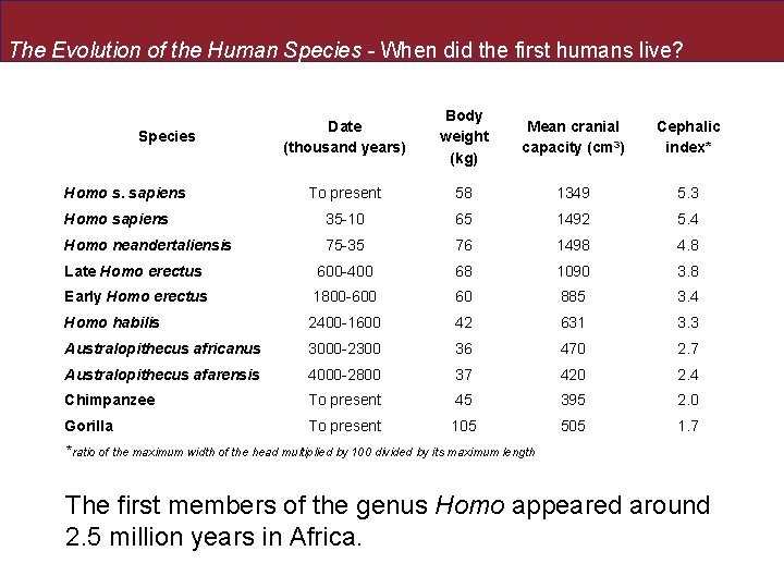 The Evolution of the Human Species - When did the first humans live? Date The Evolution of the Human Species - When did the first humans live? Date