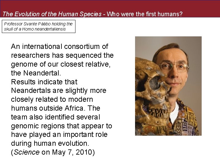 The Evolution of the Human Species - Who were the first humans? Professor Svante The Evolution of the Human Species - Who were the first humans? Professor Svante