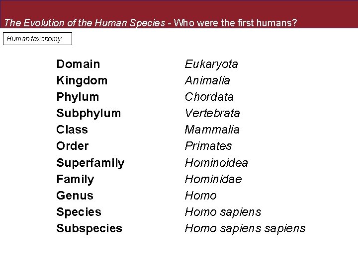 The Evolution of the Human Species - Who were the first humans? Human taxonomy