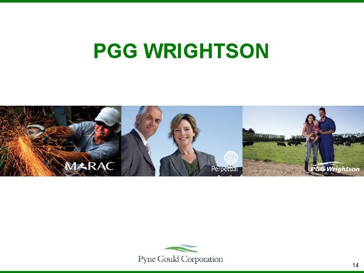 PGG WRIGHTSON 14 