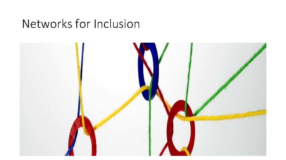 Networks for Inclusion 