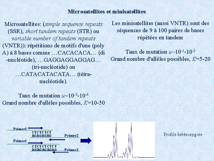 Microsatellites et minisatellites Microsatellites: (simple sequence repeats Les minisatellites (aussi VNTR) sont des séquences