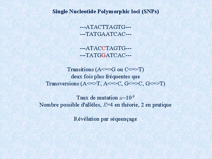 Single Nucleotide Polymorphic loci (SNPs) ---ATACTTAGTG-----TATGAATCAC-----ATACCTAGTG-----TATGGATCAC--Transitions (A<=>G ou C<=>T) deux fois plus fréquentes que