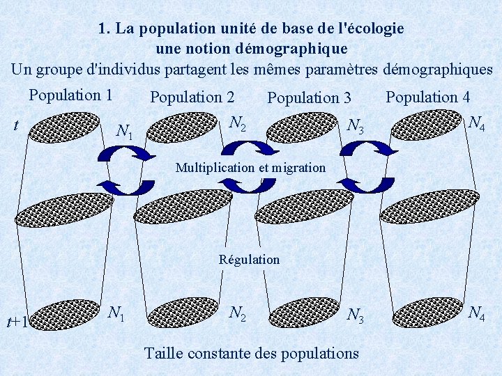 1. La population unité de base de l'écologie une notion démographique Un groupe d'individus