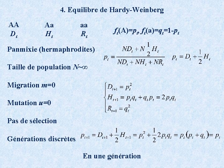 4. Equilibre de Hardy-Weinberg AA Dt Aa Ht aa Rt ft(A)=pt, ft(a)=qt=1 -pt Panmixie