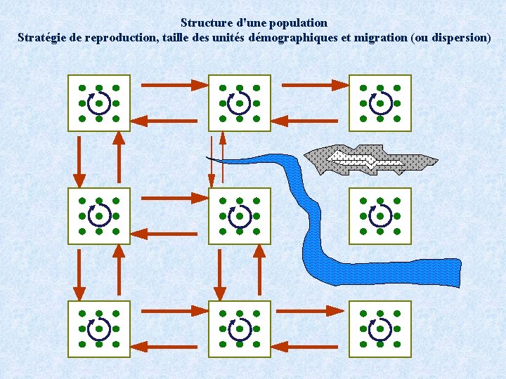 Structure d'une population Stratégie de reproduction, taille des unités démographiques et migration (ou dispersion)