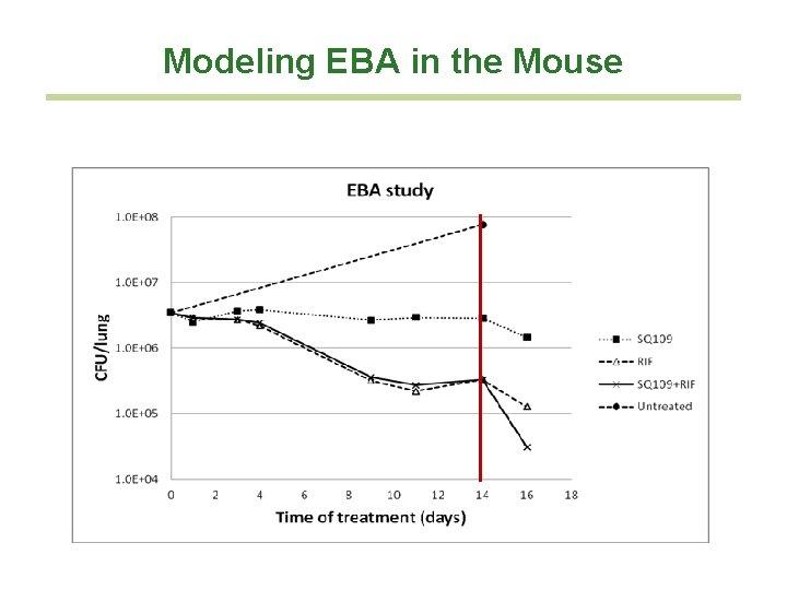 Modeling EBA in the Mouse 