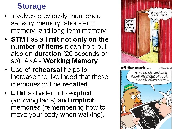 Storage • Involves previously mentioned sensory memory, short-term memory, and long-term memory. • STM