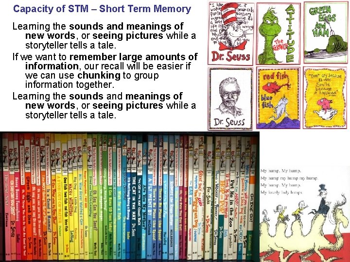 Capacity of STM – Short Term Memory Learning the sounds and meanings of new