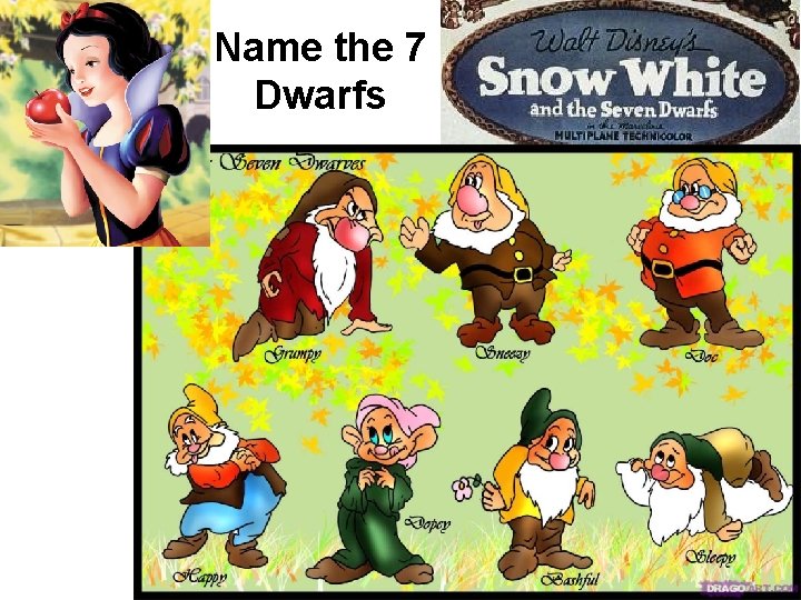 Name the 7 Dwarfs 