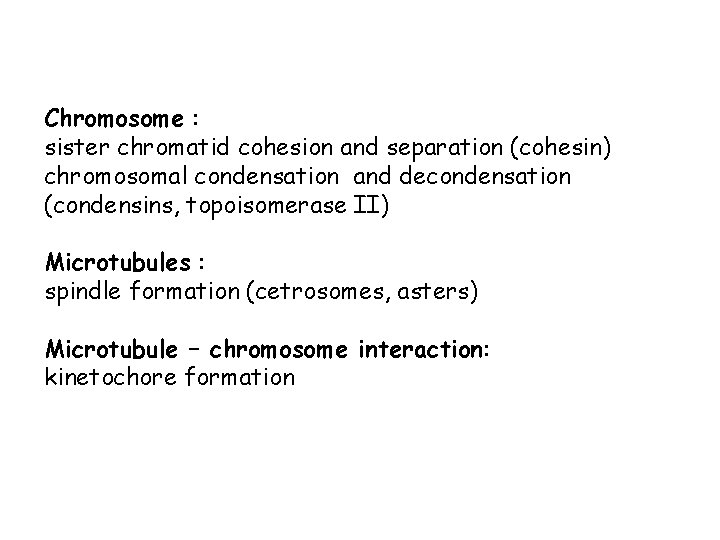Chromosome : sister chromatid cohesion and separation (cohesin) chromosomal condensation and decondensation (condensins, topoisomerase