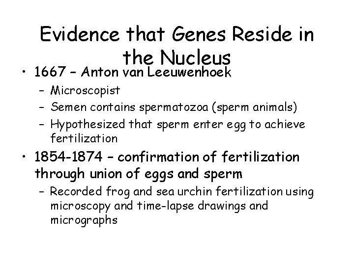 Evidence that Genes Reside in the Nucleus • 1667 – Anton van Leeuwenhoek –