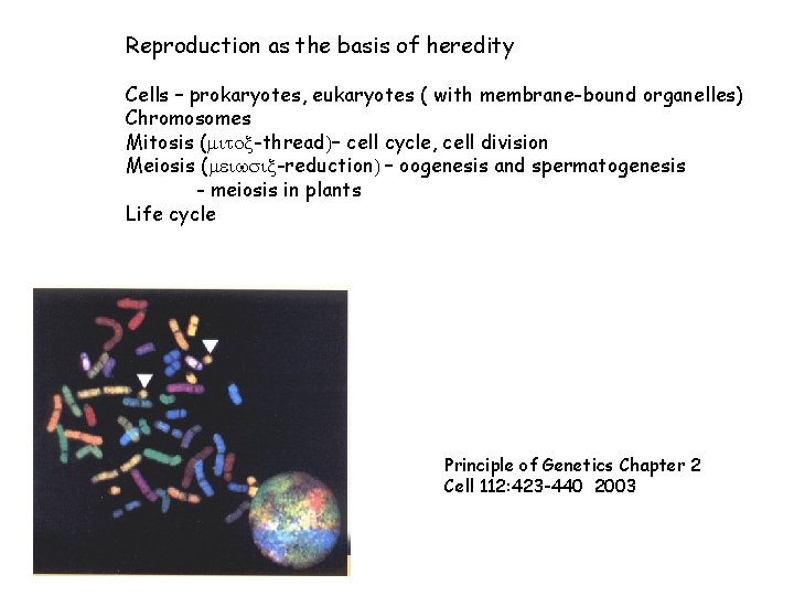 Reproduction as the basis of heredity Cells – prokaryotes, eukaryotes ( with membrane-bound organelles)