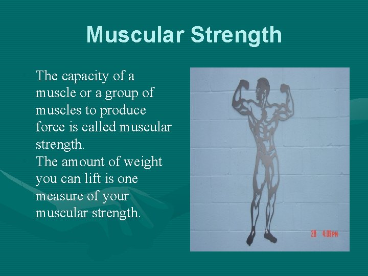 Muscular Strength • The capacity of a muscle or a group of muscles to