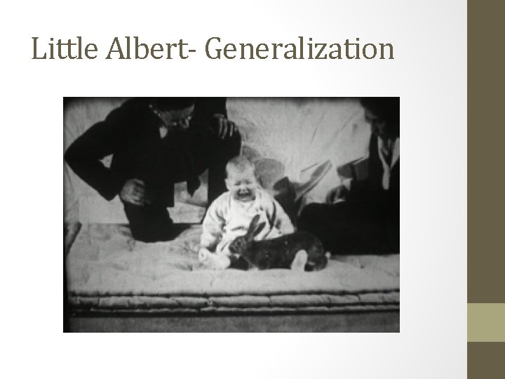 Little Albert- Generalization 