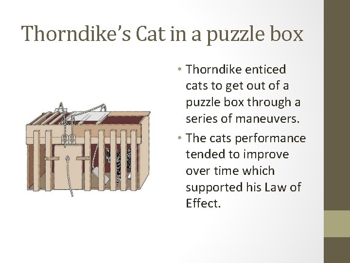 Thorndike’s Cat in a puzzle box • Thorndike enticed cats to get out of