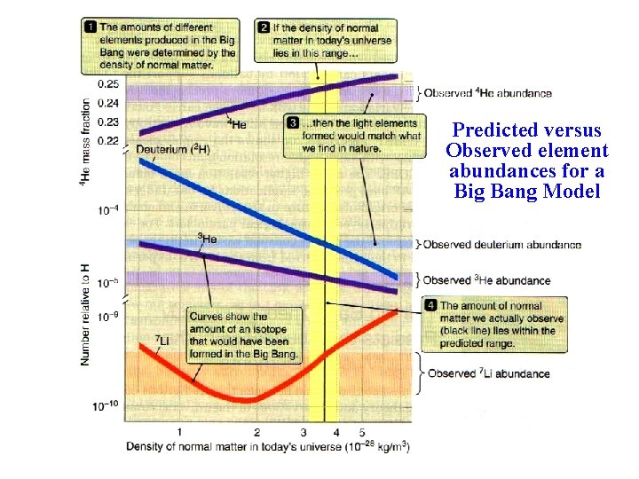 Predicted versus Observed element abundances for a Big Bang Model 