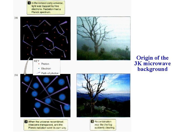 Origin of the 3 K microwave background 