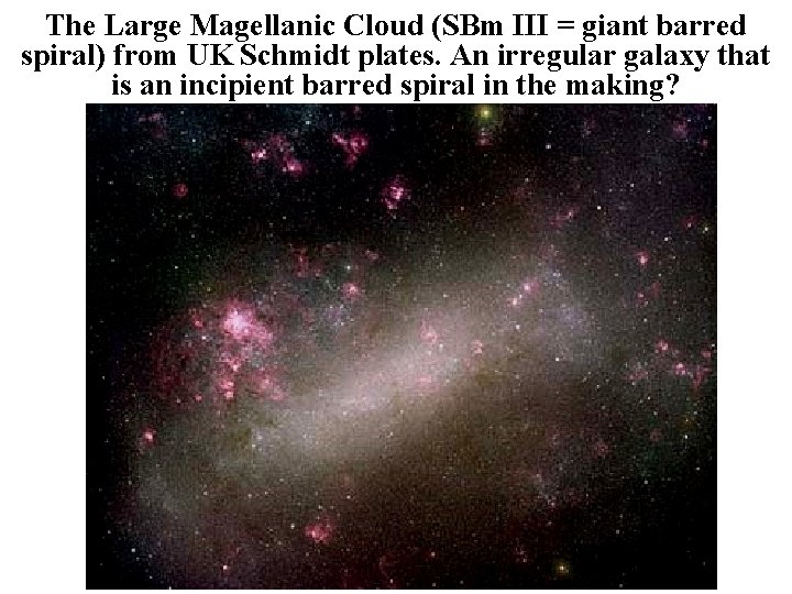 The Large Magellanic Cloud (SBm III = giant barred spiral) from UK Schmidt plates.