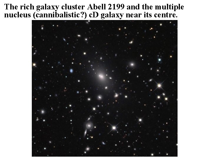 The rich galaxy cluster Abell 2199 and the multiple nucleus (cannibalistic? ) c. D