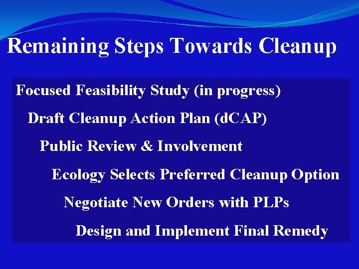 Remaining Steps Towards Cleanup Focused Feasibility Study (in progress) Draft Cleanup Action Plan (d.