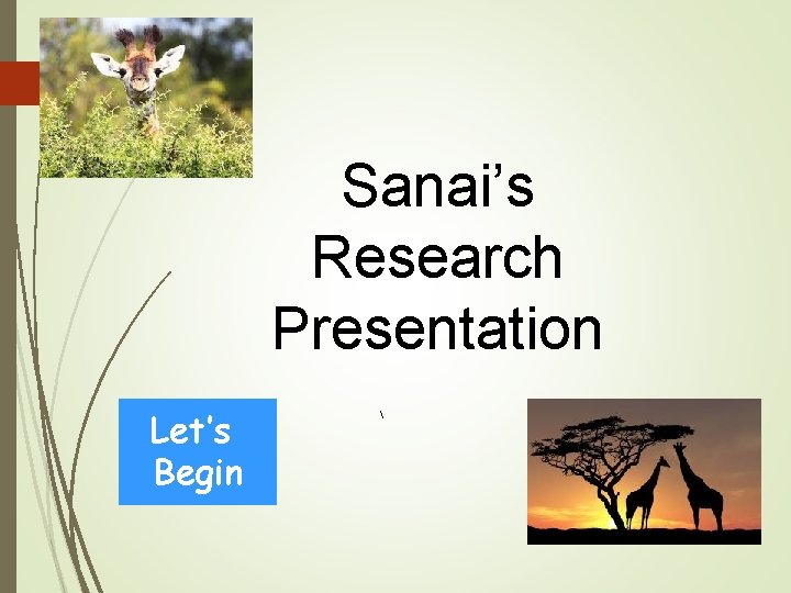 Sanai’s Research Presentation Let’s Begin  