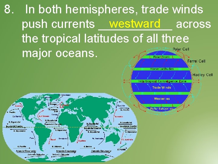 8. In both hemispheres, trade winds westward push currents ______ across the tropical latitudes