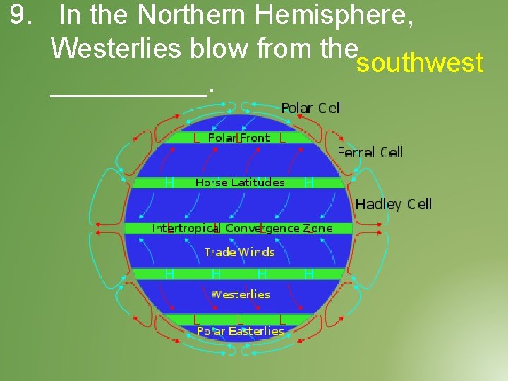 9. In the Northern Hemisphere, Westerlies blow from the southwest _____. 