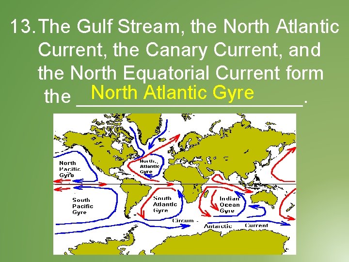 13. The Gulf Stream, the North Atlantic Current, the Canary Current, and the North