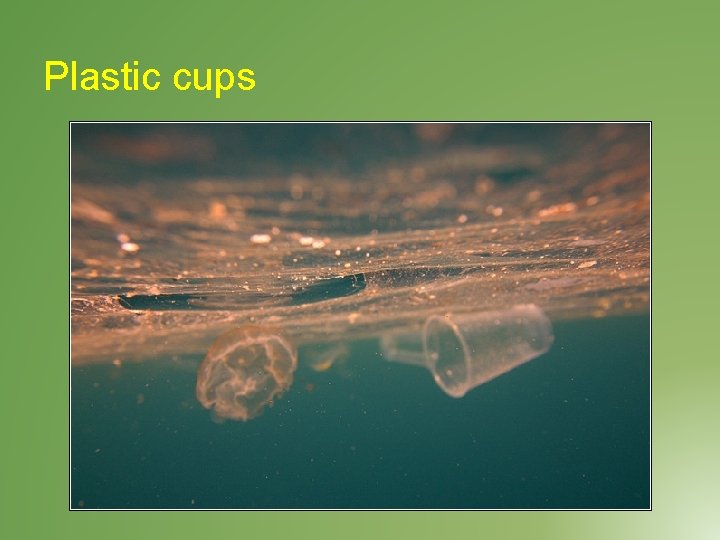 Plastic cups 