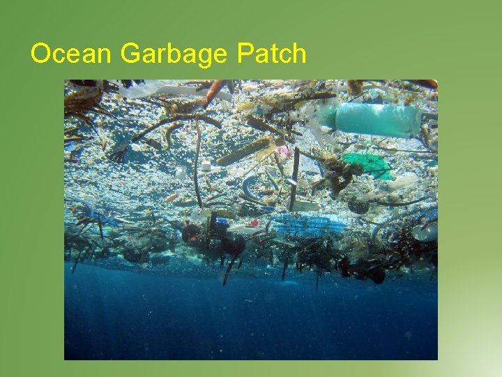 Ocean Garbage Patch 