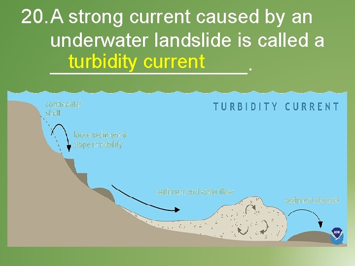 20. A strong current caused by an underwater landslide is called a turbidity current