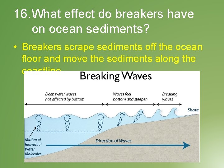 16. What effect do breakers have on ocean sediments? • Breakers scrape sediments off