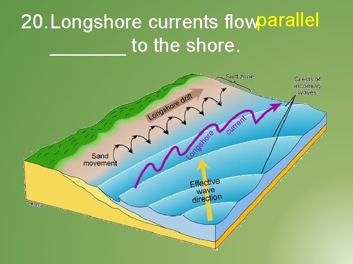 20. Longshore currents flow parallel _______ to the shore. 
