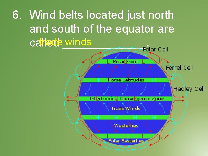 6. Wind belts located just north and south of the equator are trade winds