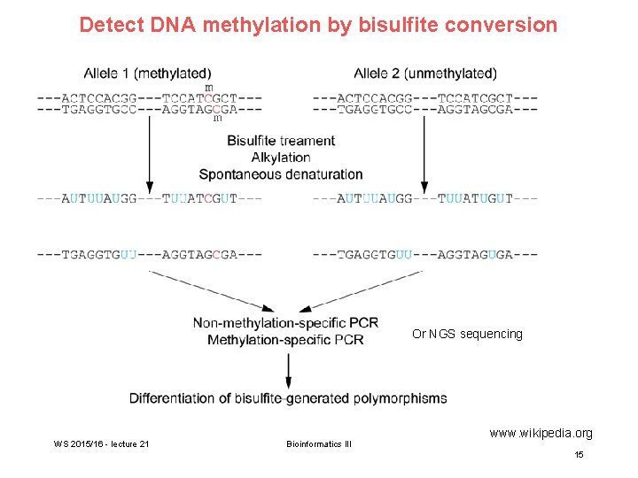 dna methylation data epigenetics
