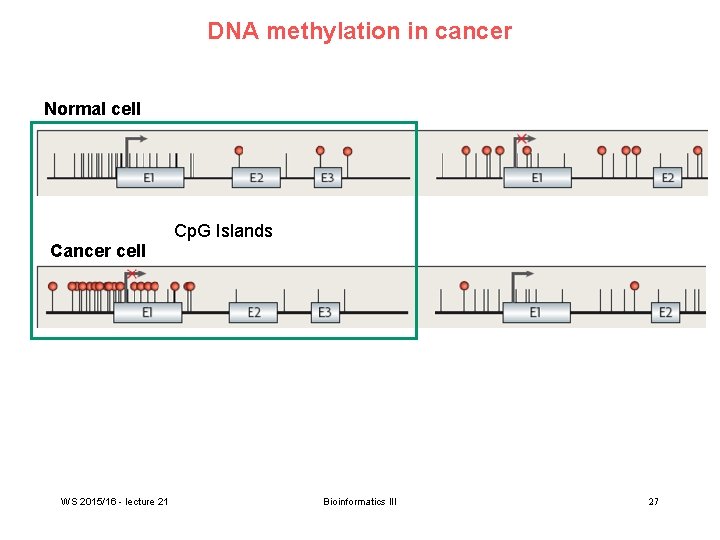 dna methylation data epigenetics