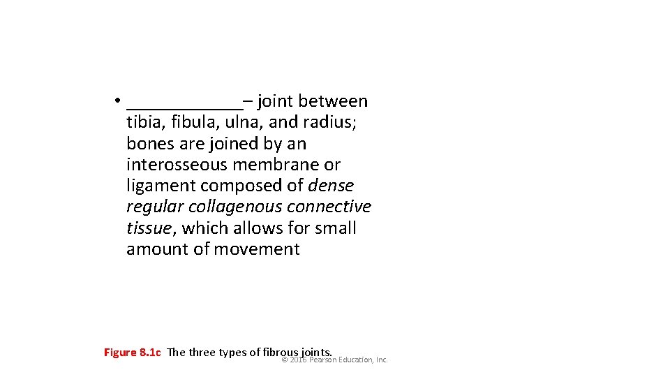  • ______– joint between tibia, fibula, ulna, and radius; bones are joined by