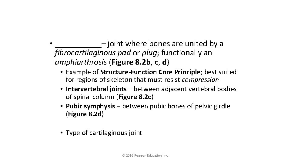  • ______– joint where bones are united by a fibrocartilaginous pad or plug;