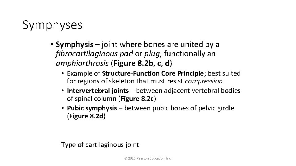 Symphyses • Symphysis – joint where bones are united by a fibrocartilaginous pad or